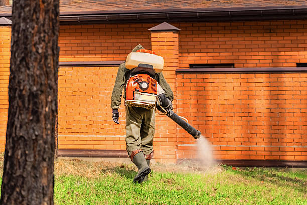 Bed Bug Clearance Verification and Documentation in Chama